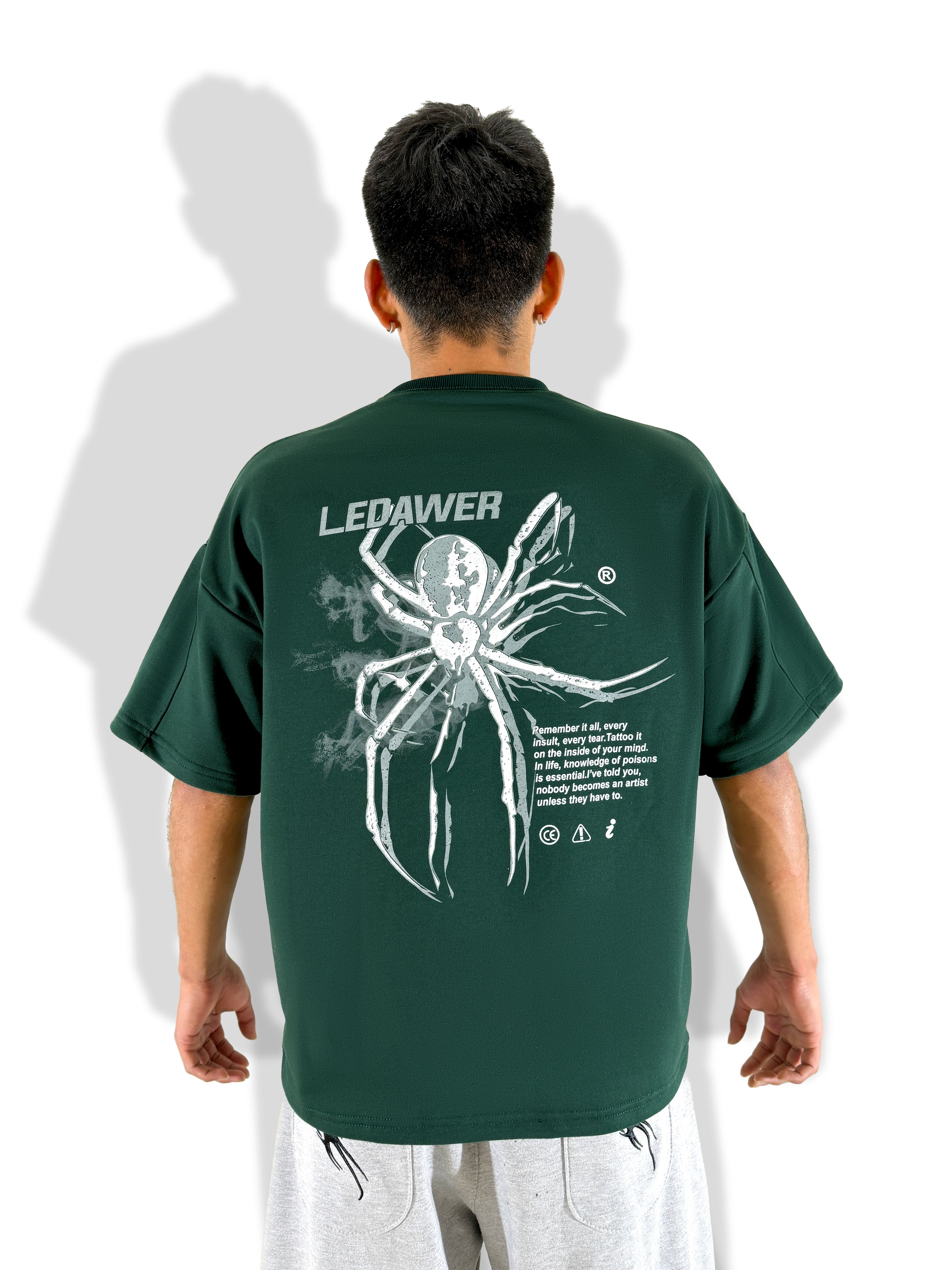 Camiseta Araña-Boxy fit